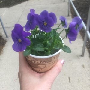 Meet your Posher, Lori